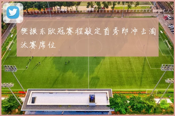 樊振东欧冠赛程敲定首秀即冲击淘汰赛席位