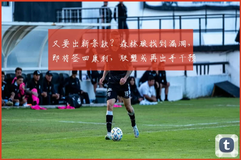 又要出新条款？森林狼找到漏洞，即将签回康利，联盟或再出手干预