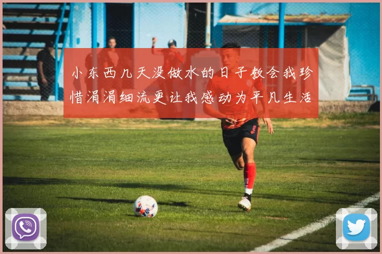 小东西几天没做水的日子教会我珍惜涓涓细流更让我感动为平凡生活