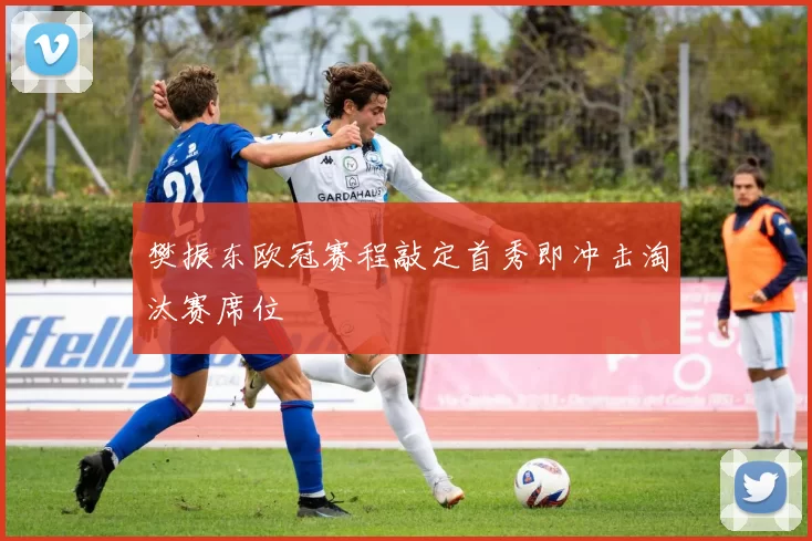 樊振东欧冠赛程敲定首秀即冲击淘汰赛席位